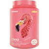Suplemento alimenticio Birdman Fitmingo proteína vegetal sabor blueberry 510 g