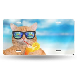 Cute Funny Cat Glasses Beach Blue Front License Plate Aluminum Decorative License Plates Funny Metal Car Plate 6"X12" Novelty Vanity Tag Cover with 4 Holes Car Decor Accessory