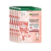 Garnier Skin Active 2 Million 5-Sheet Set Probiotics Fraction Sheet