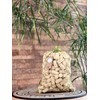 Pack of 200 Corks 45 x 24 mm - Craft