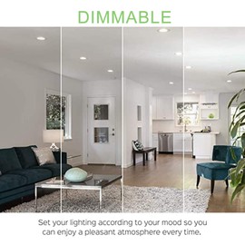 Small frog BR25/R25 Led Can Light Bulbs, 9W Dimmable Flood Lights (75W Equivalent), E26 Medium Base Bulb 5000K Daylight White for Indoor Outdoor Lighting, Pack of 4