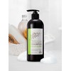 Suavis Argan Scalp Care Shampoo True Natural 98.8 500ml WS01AH08 / 수아비스 아르간 두피케어 샴푸 트루네츄럴 98.8 500ml WS01AH08
