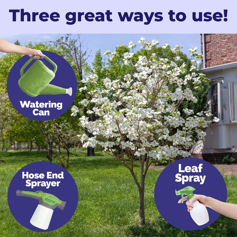 Dogwood Tree Fertilizer – Liquid Plant Food for All Dogwood