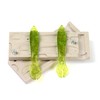 Soft Plastiс Mold Lure Making Injection Molds Fishing Lures Bionic