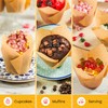 Tulip Cupcake Liners, Muffin Liners for Baking by Baker’s Signature