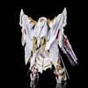 BANDAI SPRITS RG 1/144 Gundam Astray Gold Frame Ten (Amatsu)