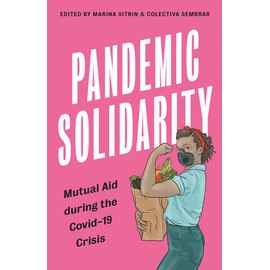Pandemic Solidarity: Mutual Aid during the Covid-19 Crisis