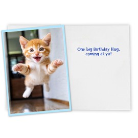 CardFool - Funny Cat Birthday Hug Card for Women, Men, Coworkers and Anyone and All Ages Ready to Party