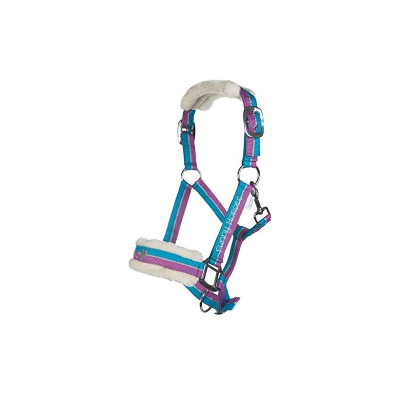 Funny Horses HKM Headcollar, Horse Headcollar, Pasture and Stable Headcollar,