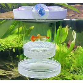 AWXZOM Guppy Breeder Box Breeder Box for Fish Tank,Aquarium Fish Breeding Box, Floating Mesh Isolation Hatchery,Hatchery Incubator Isolation Box for Shrimp Clownfish(Large)