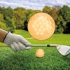 Laroal 4 Pcs Golden Golf Ball, Practice Balls Gold Plating