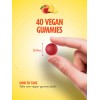 Sundance Ashwagandha Gummies 500mg | 40 Count | Vegan, Non-GMO,