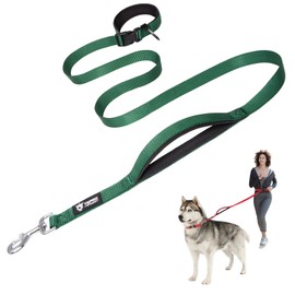 TSPRO Hands Free Dog Leash Adjustable Walking Running Dog Leash with Control Safety Padded Handle and Heavy Duty Clasp for Medium Large Dogs (Green 25)