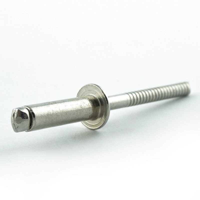 Eisenwaren2000 4 x 8 mm blind rivet (100 pieces) -