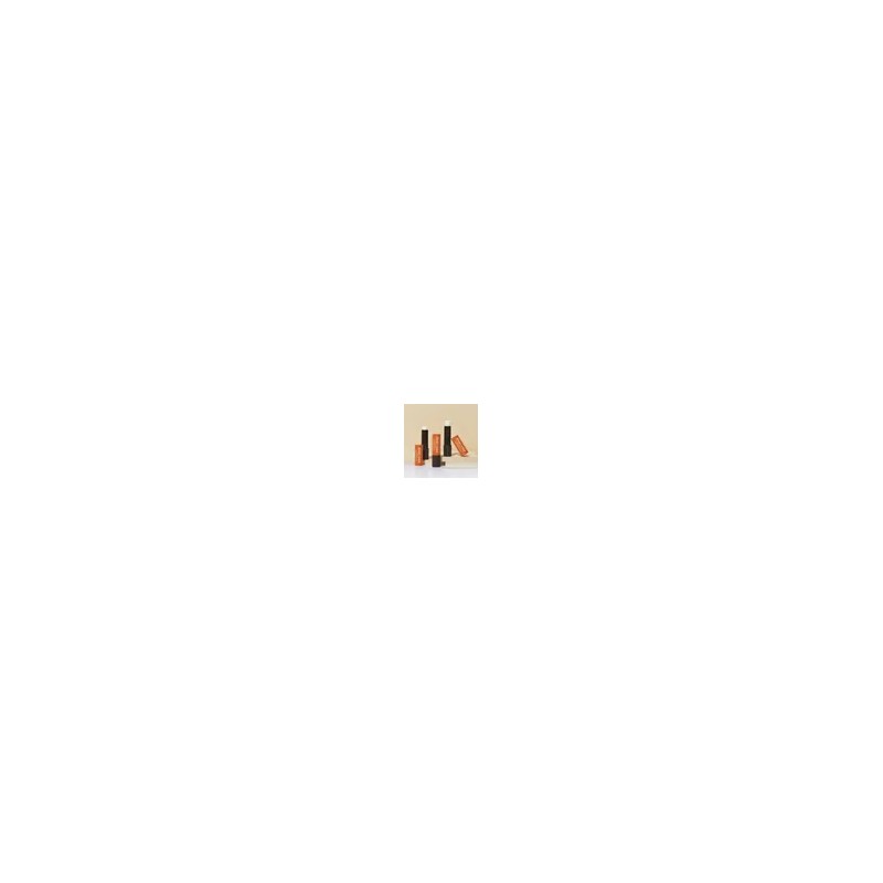 에뛰드 진저슈가 립밤 스틱 2개 Ginger Sugar Lip Balm Stick