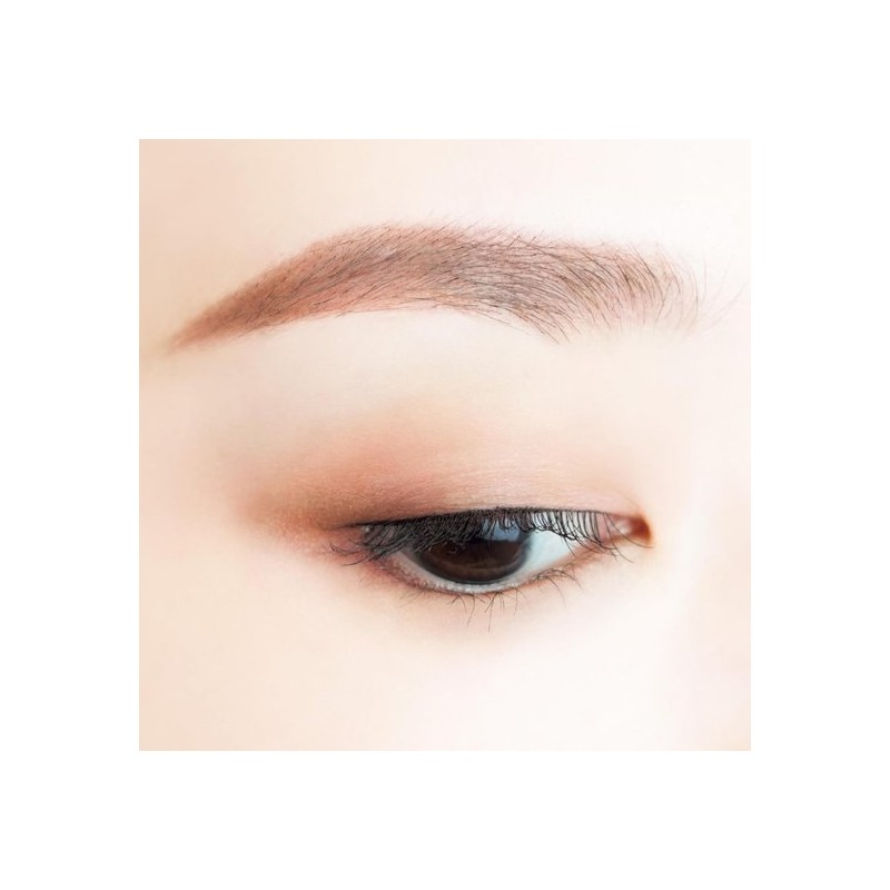 Canmake Perfect Multi Eyes 09 Rosé Panna Cotta Eyeshadow Palette