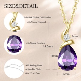 FANCIME Natural Amethyst Necklace 14K Solid Yellow Gold Teardrop Pendant February Birthstone Jewelry Gifts for Mom Women