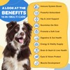 Dog Multivitamin with Probiotics - Dog Vitamins and Supplements -