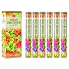Hem Wild Orchids Incense 120 Sticks Box (6 Pack of