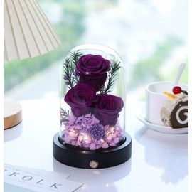 Pinnetetti Flowers for Delivery Prime Preserved Roses Flower in Glass Dome Forever Purple Real Rose Flower Valentines Day Mothers Day Birthday for Her Women Girlfriend Wife Mother Flores