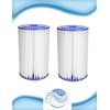 CFS Compatible Replacement for American Plumber W50PEHD Water Filter –