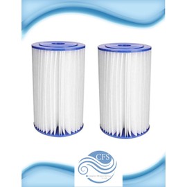 CFS Compatible Replacement for American Plumber W50PEHD Water Filter – High Flow Sediment Filter for Well & Municipal Systems, Fits GE FXHTC, GXWH40L, RFC-BBSA, Pack of 2
