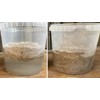 Seven Springs Farm Odor Beware - All Natural Portable Compost