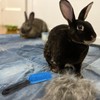 SDMAX Rubber Pet Hair Hand Brush Furniture Floor Sweeper, Gentle