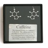 Anatomology Caffeine Molecular Structure Earrings