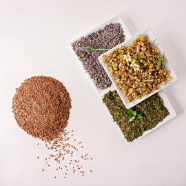 Microwave Heating Pad or Ice Pack for Kids, Microwavable Heat Pack or Cold Compress, 9" x 4" (Dinosaur, Peppermint)