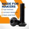 (60 Pieces) M4 x 40 mm Rounded Head Screws with