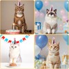 Pack of 4 Cat Birthday Accessories, Cat Birthday Hat with