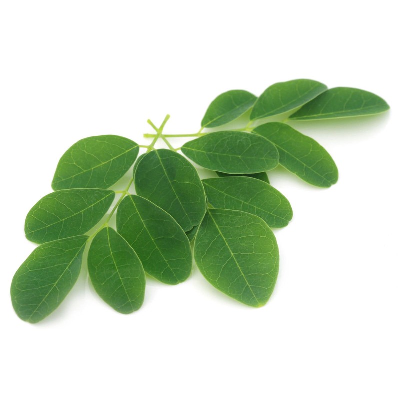 Moringa Peppermint Tea 30 Bags Antioxidant-Rich Energy Booster