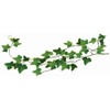 Large temporary tattoo of a green ivy leaf vine 19.5