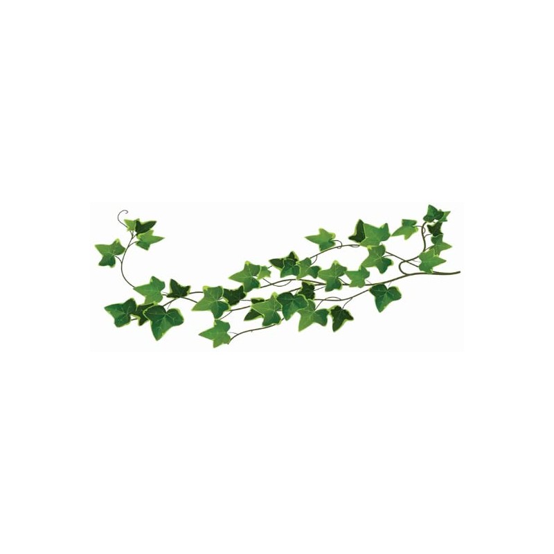 Large temporary tattoo of a green ivy leaf vine 19.5