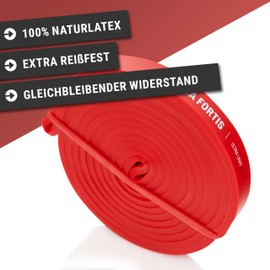 Via Fortis Premium Resistance Bands + Exercise Instructions and Bag - Resistance Bands, Pull-Up Band and Pull-Up Aid, Fitness Band, Training Bands for Fitness & Strength Training