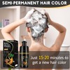 Black Hair Dye Shampoo 3 in 1, Permanent Hair Colour