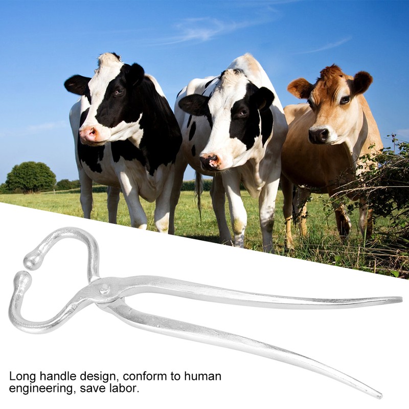 Stainless Steel Cattle Nose Pliers Clip Squeezer Traction Tool Domestic