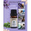 Aromax Essentials 100% Pure Essential Oils Set for Diffuser, Aromatherapy