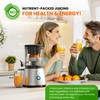Eurolux Electric Citrus Juicer Stainless Steel | Premium Hands-Free One-Touch