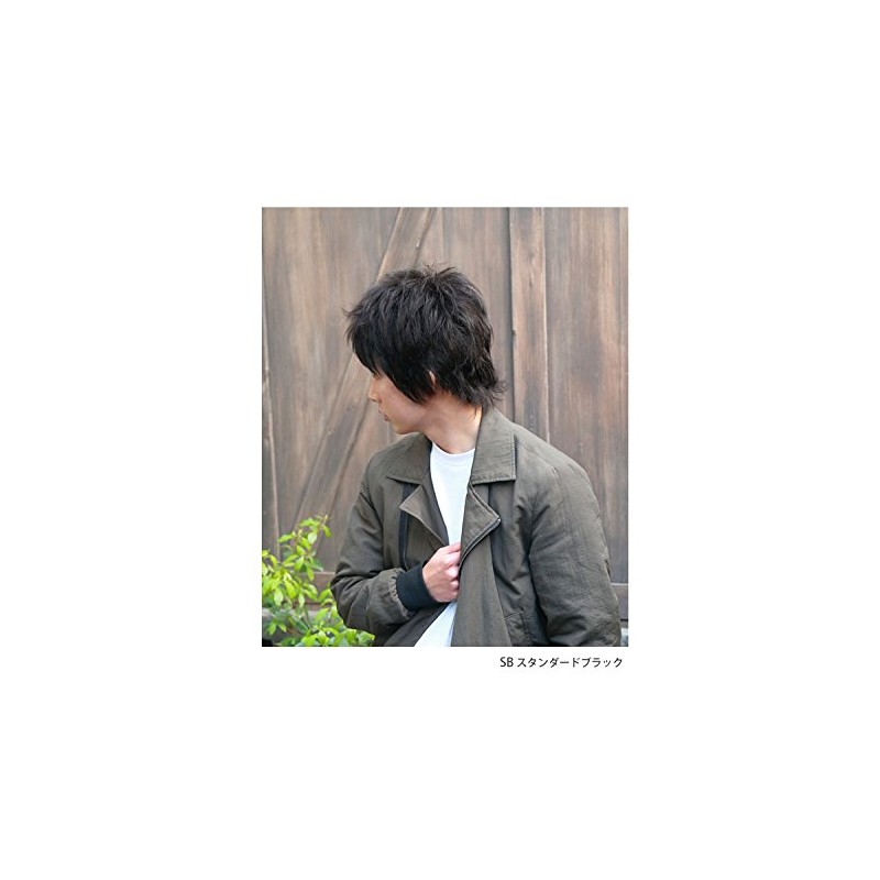 Priscilla MAN All Wig, Stylish Short, MA-100, Heat Resistant, AB,