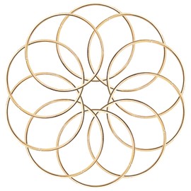 KALIONE 20 Pcs 2 Inch Metal Rings for Craft Gold Hoops Floral Macrame Hoops Rings for DIY Crafts Macrame Dream Catchers Supplies(Gold,2 Inch)