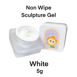 Nail Gel polish sculpture gel 5g white in colour clear stroke non wipe chrome applicable DIY at home Nail solons mini 3D designs (White, 5g)