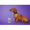 FÜRREE Joint Support Collagen Complex Plus for dogs - 100
