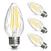 BRIMAX F15 8W Led Porch Light Bulb Outdoor, E26 Medium