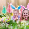 Easter Decorations,6Pcs Easter Hanging Decorations Easter Bunny Honeycomb Ball,Pink Blue
