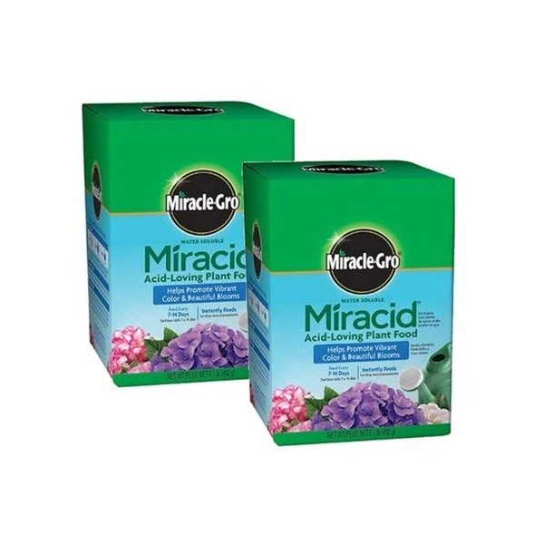 Scotts Company Miracle-Gro 1750011 Water Soluble Miracid Acid-Loving Plant Food, 1-Pound (2)