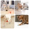 KAEGOUSY 6Pcs Cat Toy Balls with Feather Interactive Feather Toy