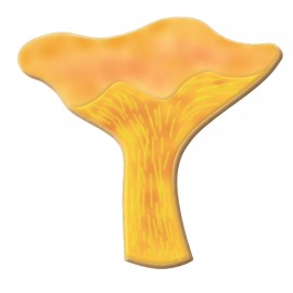 Unbranded Chanterelle Mushroom 3.25'' Cookie Cutter Whimsical Woodland Farmers Market