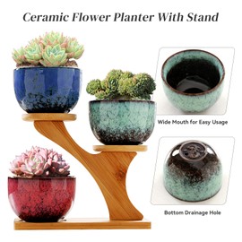 Jueison Succulent Pots with 3 Tier Bamboo Saucers Stand Holder Modern Decorative Ceramic Flower Pots with Drainage Mini Cactus Plant Pot Planters for Indoor Home Office Desk Garden Decor (#006)